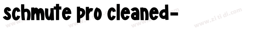 schmute pro cleaned字体转换